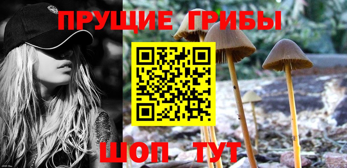 Галлюциногенные грибы GOLDEN TEACHER  Вход с VPN  Псилоцибиновые грибы Magic Shrooms  Бузулук 
